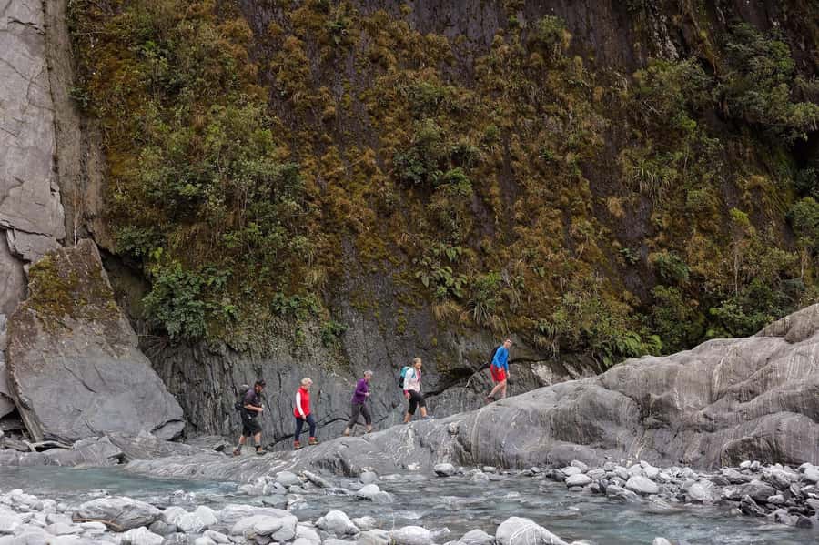 Franz Josef: Franz Josef Glacier Lookout Guided Walk - What makes this walk worth your time