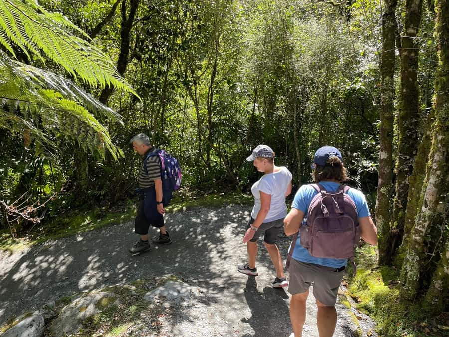 Franz Josef: Franz Josef Glacier Lookout Guided Walk - Guides who make the difference
