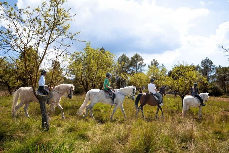 From Barcelona: Montserrat Walking and Horseback Riding Tour - Key points to know before booking