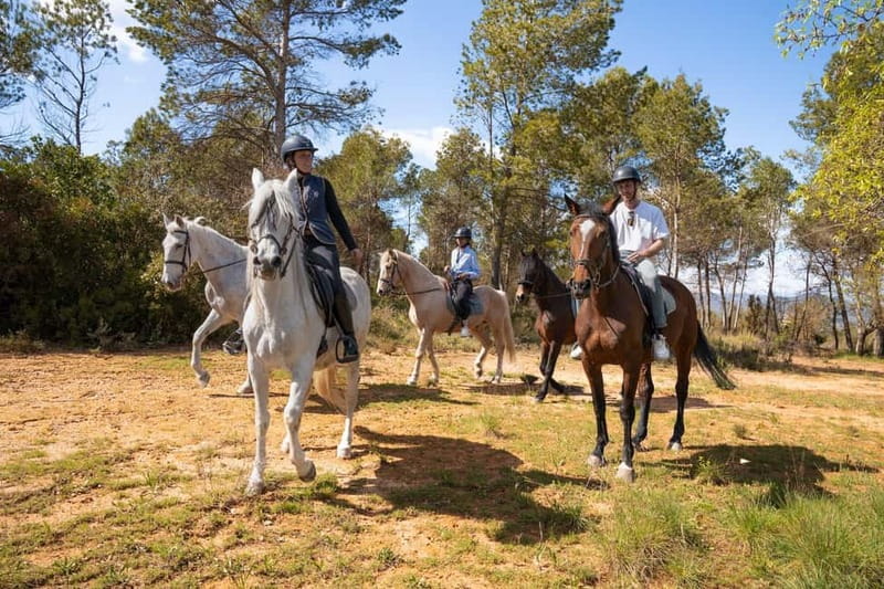 From Barcelona: Montserrat Walking and Horseback Riding Tour - Views toward the Mediterranean and Pyrenees