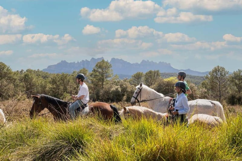 From Barcelona: Montserrat Walking and Horseback Riding Tour - Who will enjoy this outing most