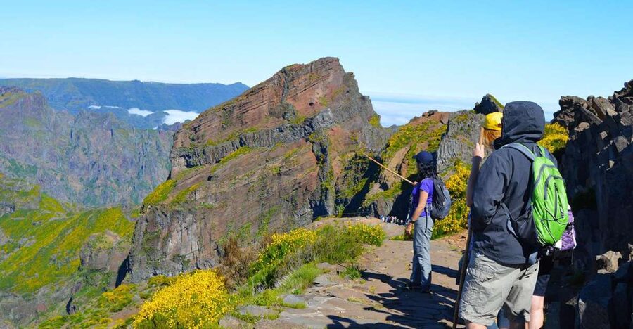 From Funchal: Madeira Peaks Mountain Walk - Key points at a glance