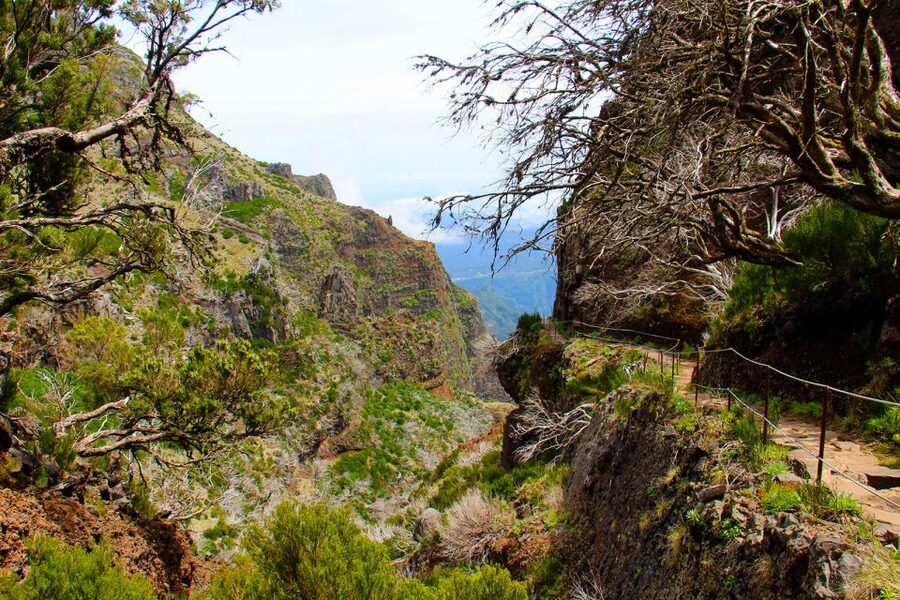 From Funchal: Madeira Peaks Mountain Walk - What happens when the weather turns?