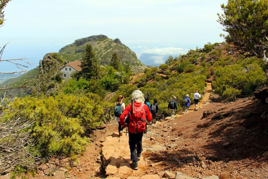 From Funchal: Madeira Peaks Mountain Walk - Rock walls, stairs, and changing views