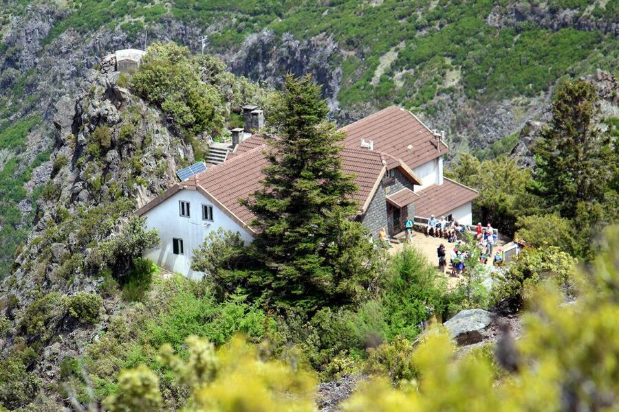 From Funchal: Madeira Peaks Mountain Walk - Walking through ancient heather forest