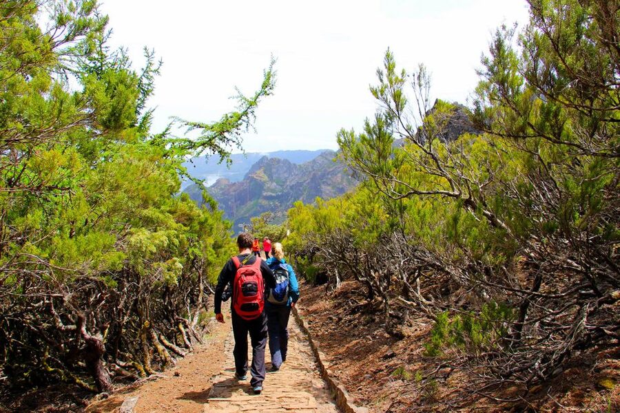 From Funchal: Madeira Peaks Mountain Walk - The final stretch to Achada do Teixeira