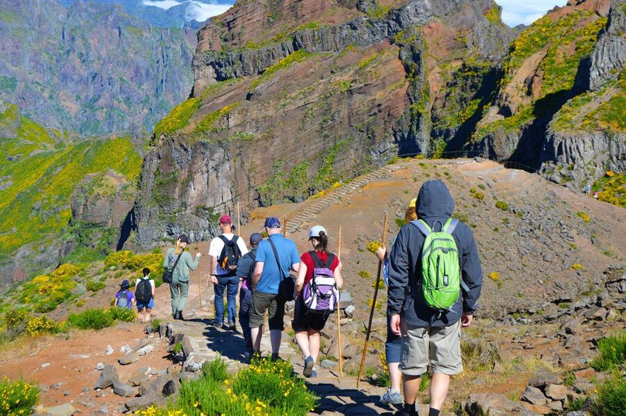 From Funchal: Madeira Peaks Mountain Walk - Transport, pickup, and the $50 price