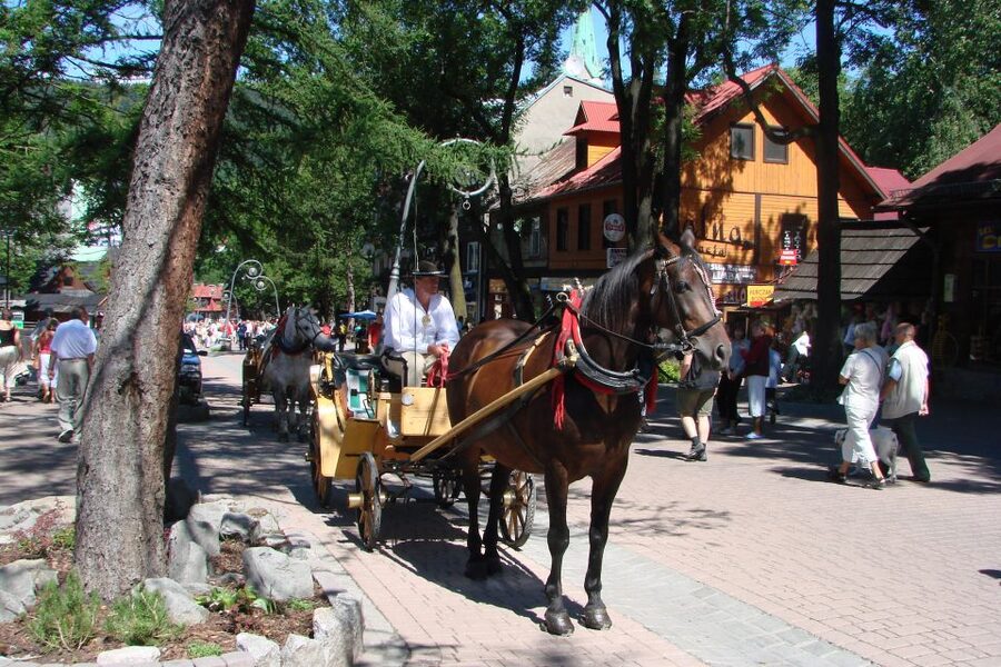 From Krakow: Slovakia Treetop Walk, Zakopane & Thermal Spa - The long road south from Krakow