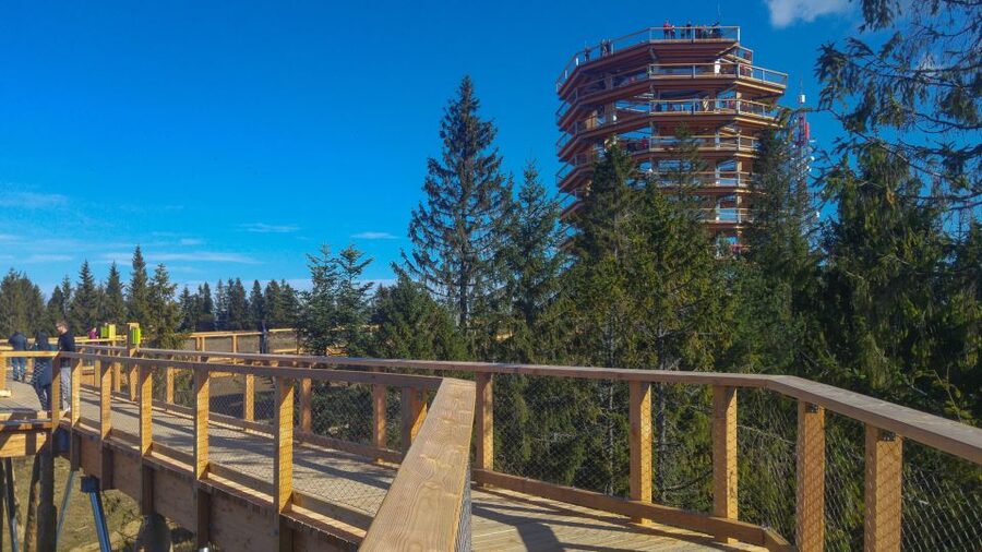 From Krakow: Slovakia Treetop Walk, Zakopane & Thermal Spa - Walking above the trees at Bachledka