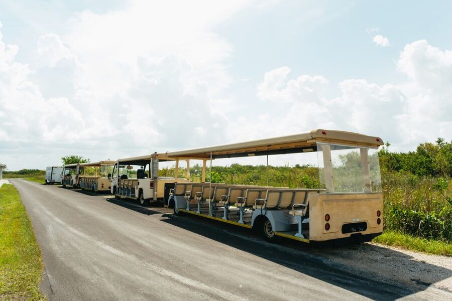 From Miami: Everglades Airboat Ride and Nature Walk - Key points before you book