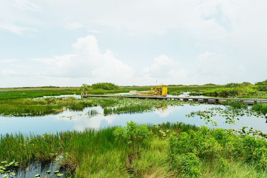 From Miami: Everglades Airboat Ride and Nature Walk - The nature walk puts the park first