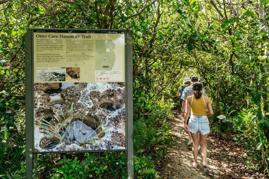 From Miami: Everglades Airboat Ride and Nature Walk - The airboat ride brings speed and open water