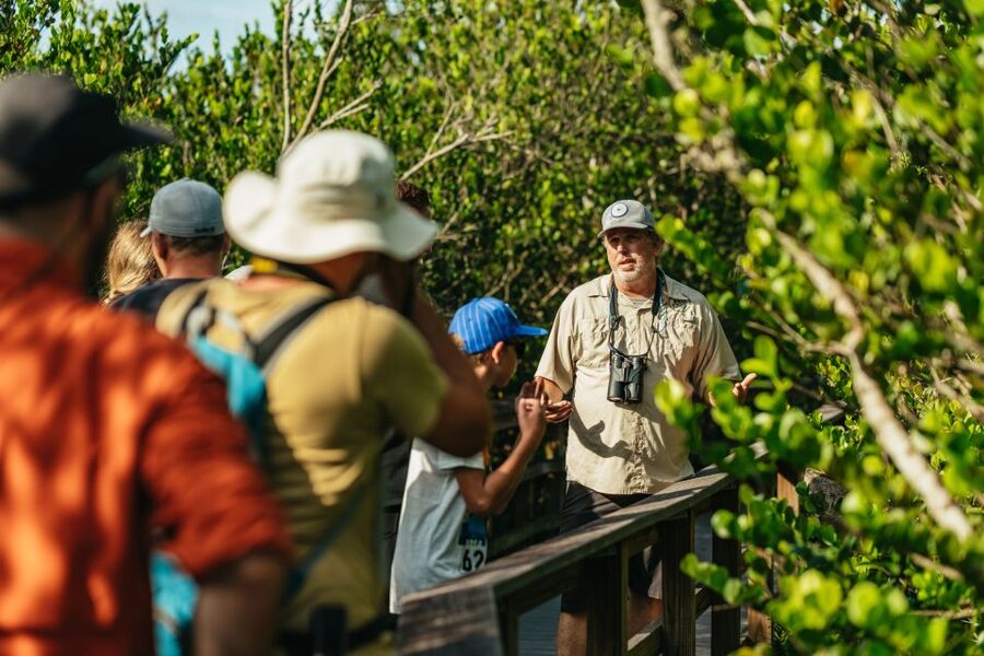 From Miami: Everglades Airboat Ride and Nature Walk - Hotel pickup makes the morning easier