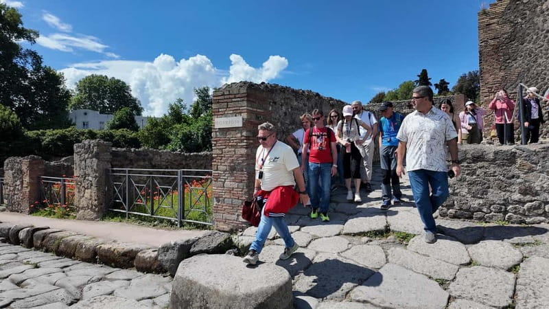 From Naples: Guided tour of Pompeii skip-the-line and round-trip train - Meeting at Napoli Centrale and collecting your tickets