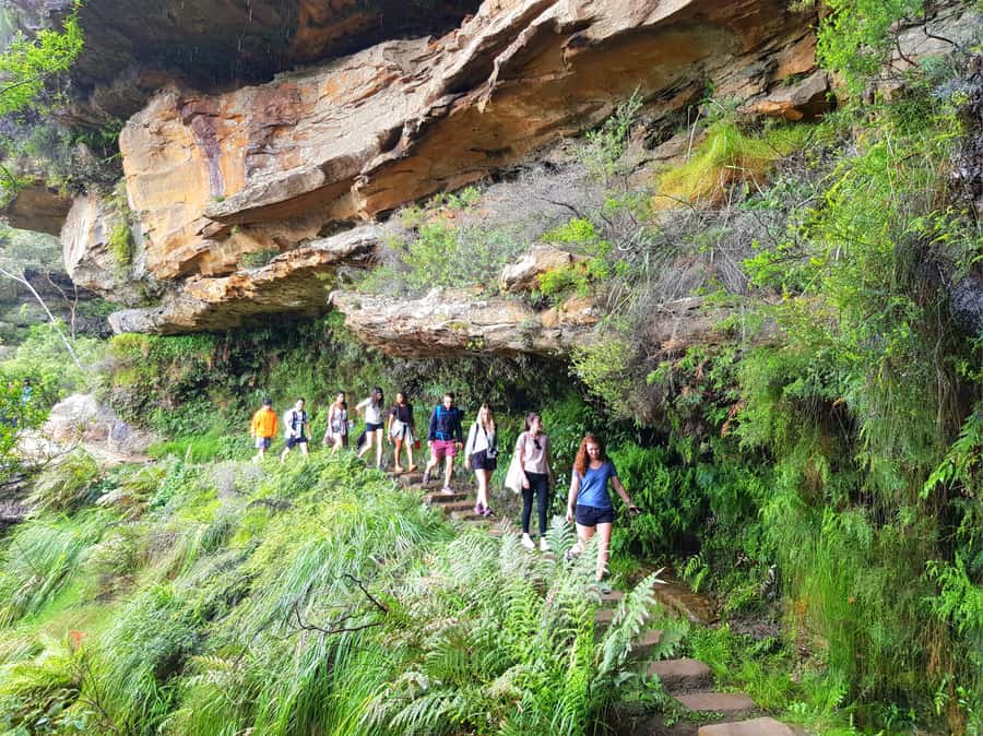 From Sydney: Blue Mountains Tour with Waterfall Walk & Lunch - Key Points Before You Book