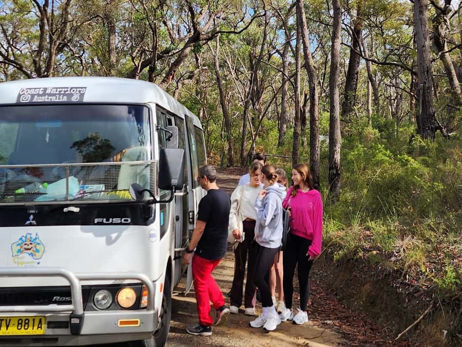 From Sydney: Blue Mountains Tour with Waterfall Walk & Lunch - Who Should Book This Blue Mountains Day Trip?