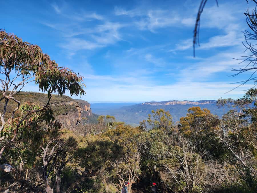 From Sydney: Blue Mountains Tour with Waterfall Walk & Lunch - Wentworth Falls: The Walk That Defines the Day