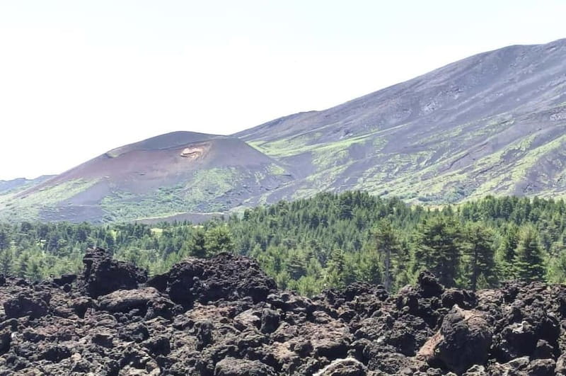 From Taormina: Etna Walking Tour and Wine Tasting in Winery - Key points at a glance