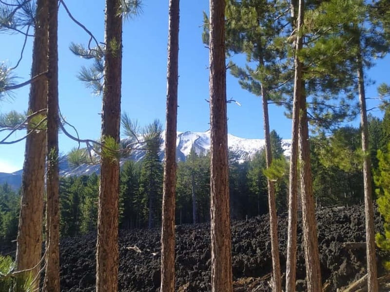 From Taormina: Etna Walking Tour and Wine Tasting in Winery - From Taormina to Etna’s upper slopes