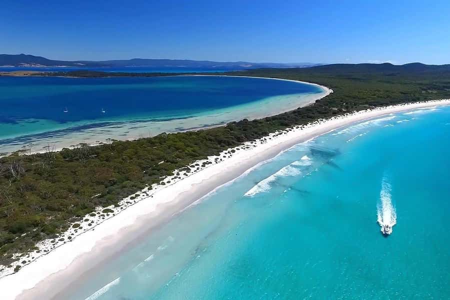 From Triabunna: Maria Island Cruise & Guided Walk with Lunch - Lunch in a sheltered bay