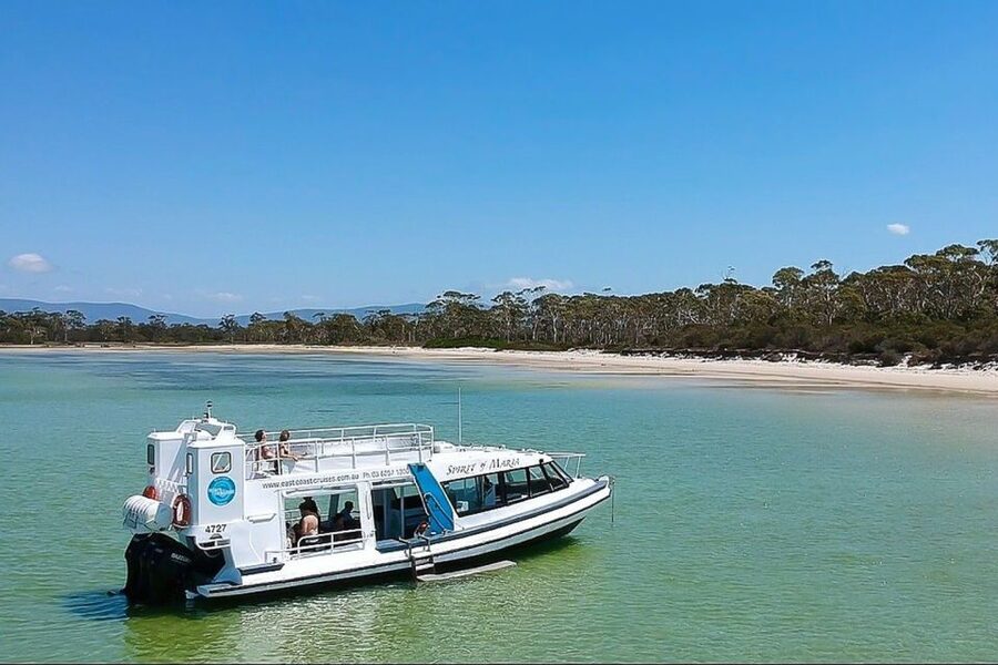 From Triabunna: Maria Island Cruise & Guided Walk with Lunch - Price, comfort, and the practical details