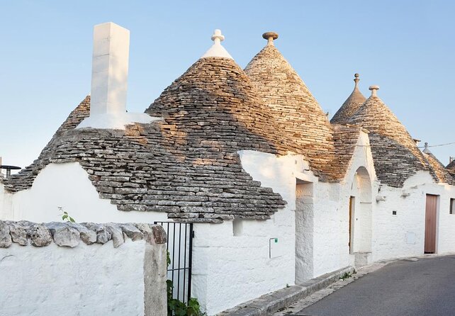 Full Day Tour by Car and Walking among the Apulian Beauties - Key points to know before booking