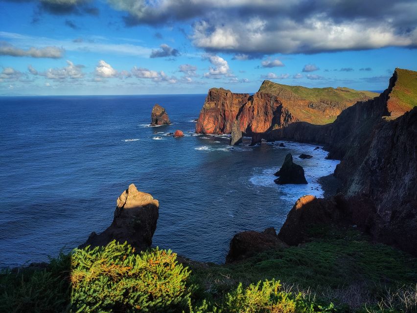 Funchal: East Madeira Island Guided Tour & Laurissilva Walk - Who should book this seven-hour trip?