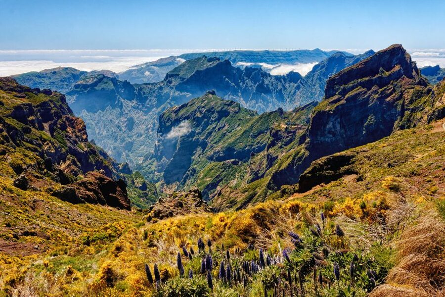 Funchal: East Madeira Island Guided Tour & Laurissilva Walk - Why this east Madeira route works so well