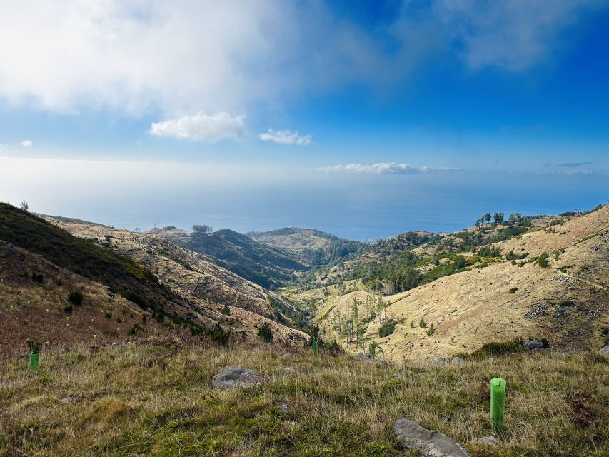 Funchal: East Madeira Island Guided Tour & Laurissilva Walk - Ponta de São Lourenço closes with open sea views