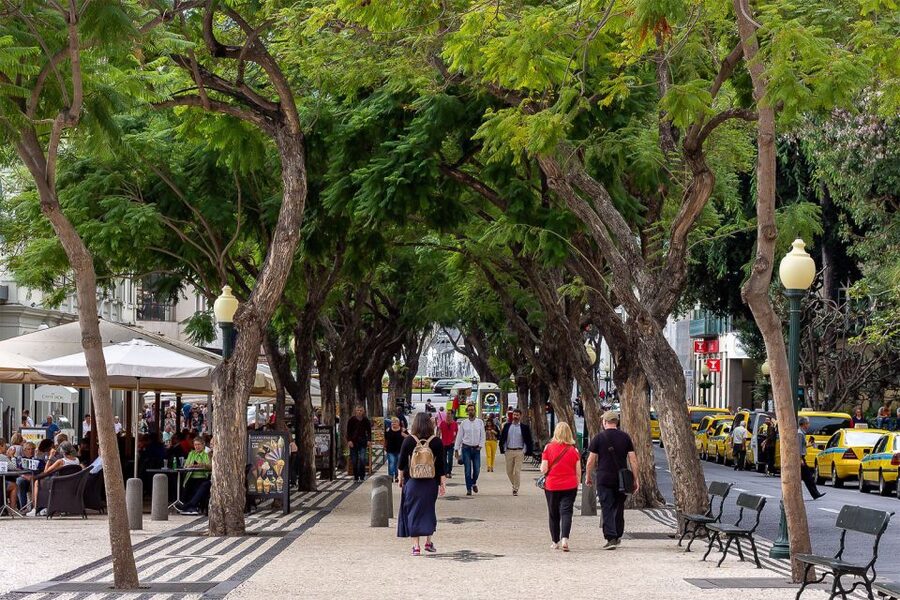 Funchal: Old Town Walking Tour - The 19th-century sweet factory and the Farmers’ Market