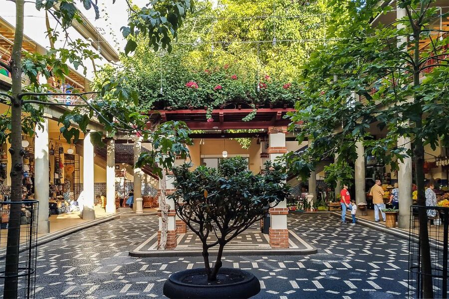 Funchal: Old Town Walking Tour - The Municipal Garden and a taste of Madeira wine