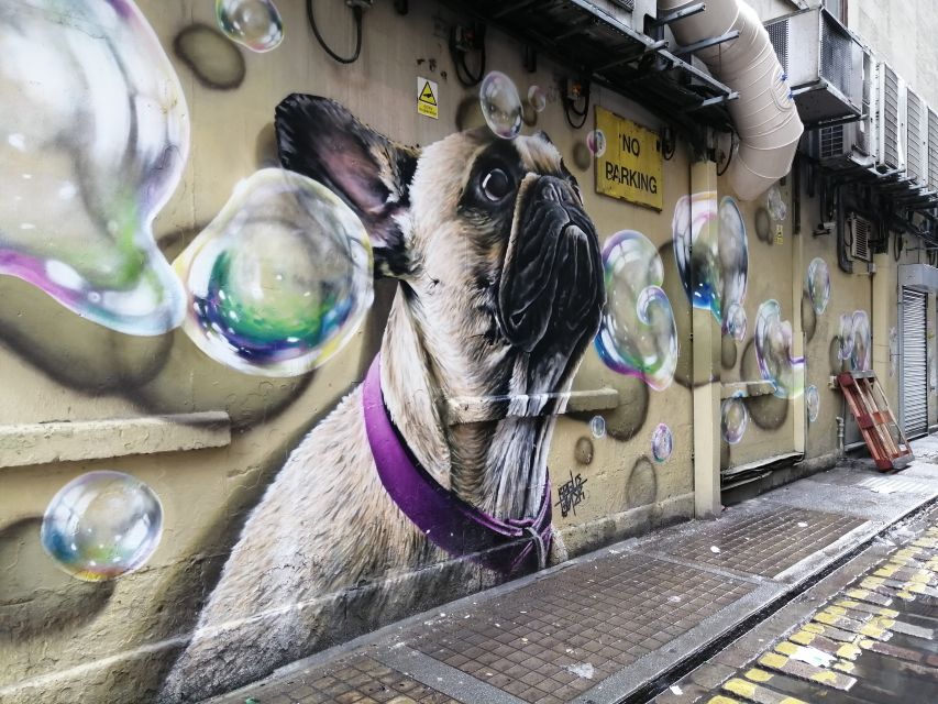 Glasgow: Street Art Guided Walking Tour - What the Guides Add to the Experience