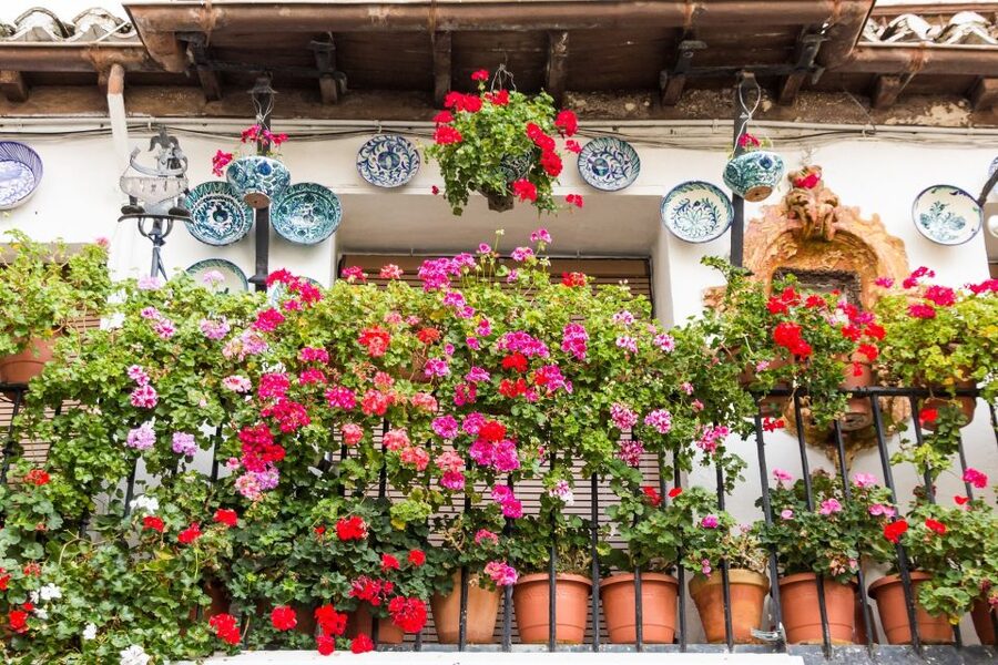 Granada: Albaicín and Sacromonte Walking Tour - Plaza Nueva and the first climb