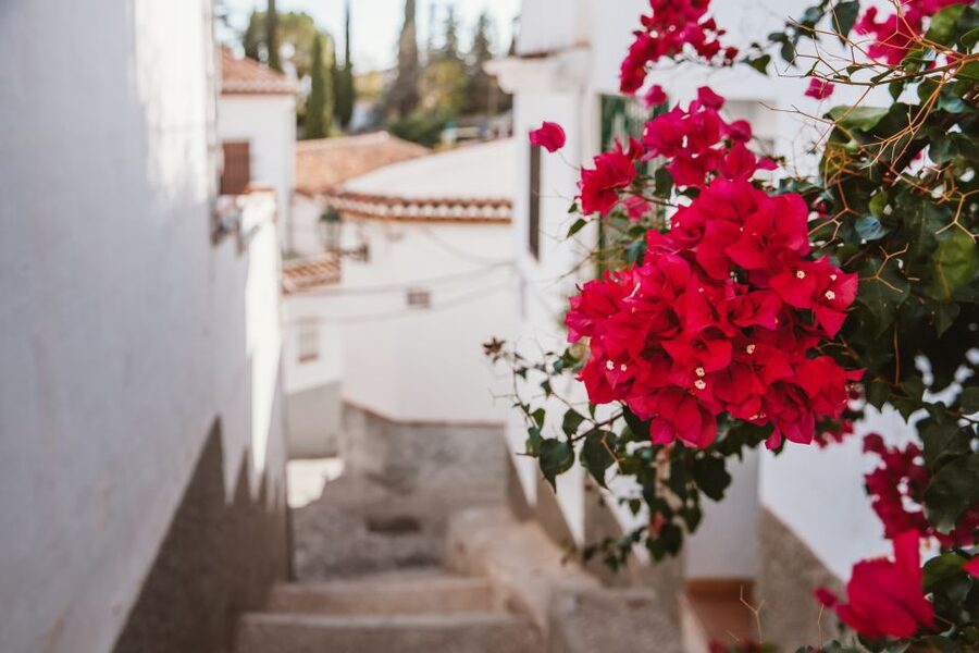 Granada: Albaicín and Sacromonte Walking Tour - Cuesta del Chapiz and the descent