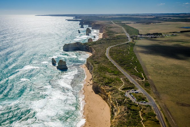 Great Ocean Road 12 Apostles & Rainforest Walk with Morning Tea - Quick take: what makes this day worthwhile