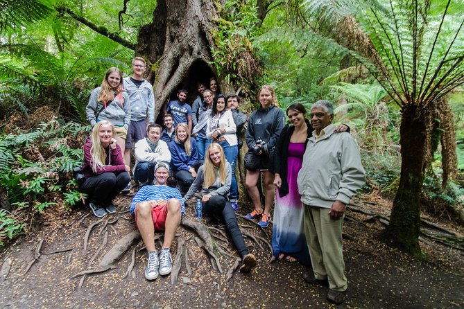 Great Ocean Road 12 Apostles & Rainforest Walk with Morning Tea - The return journey is useful, but not glamorous