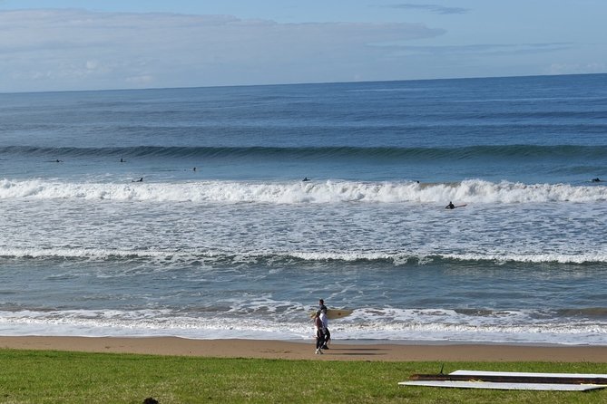 Great Ocean Road Tour Plus Koalas, Forest Walk and Morning Tea - Maits Rest trades ocean views for tall forest