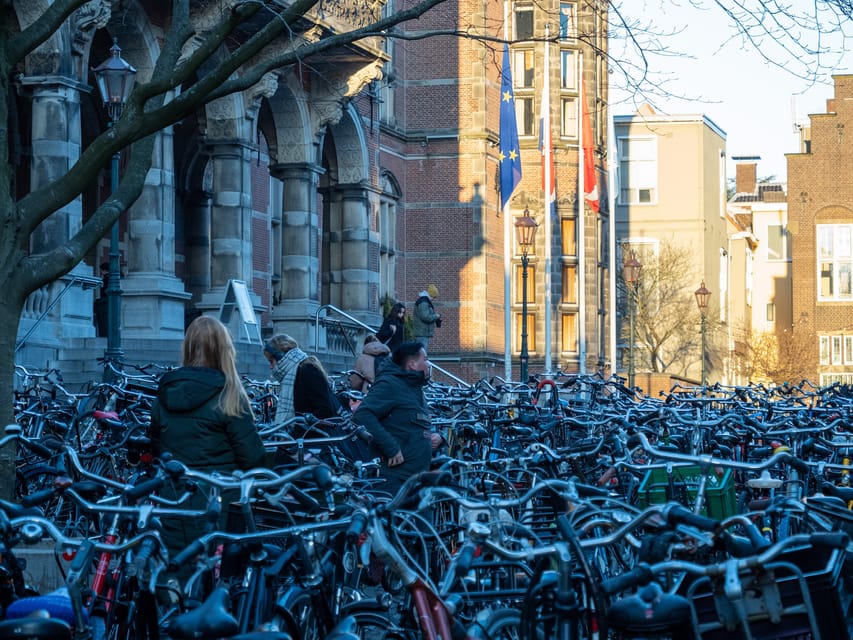 Groningen: Walking Tour with Local Guide - Key points to know before booking
