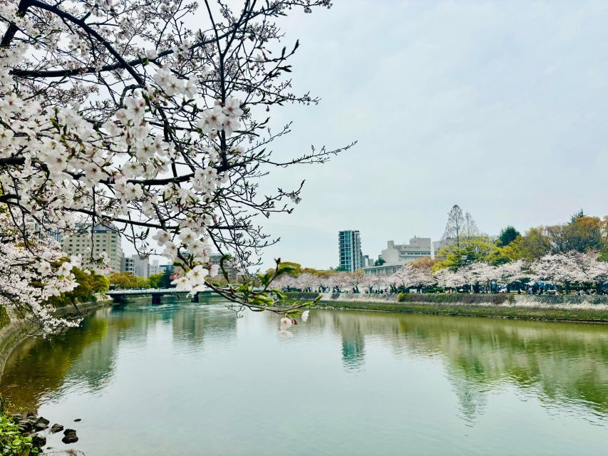 Hiroshima: History of Hiroshima Group Walking Tour - The Guides Make the Difference