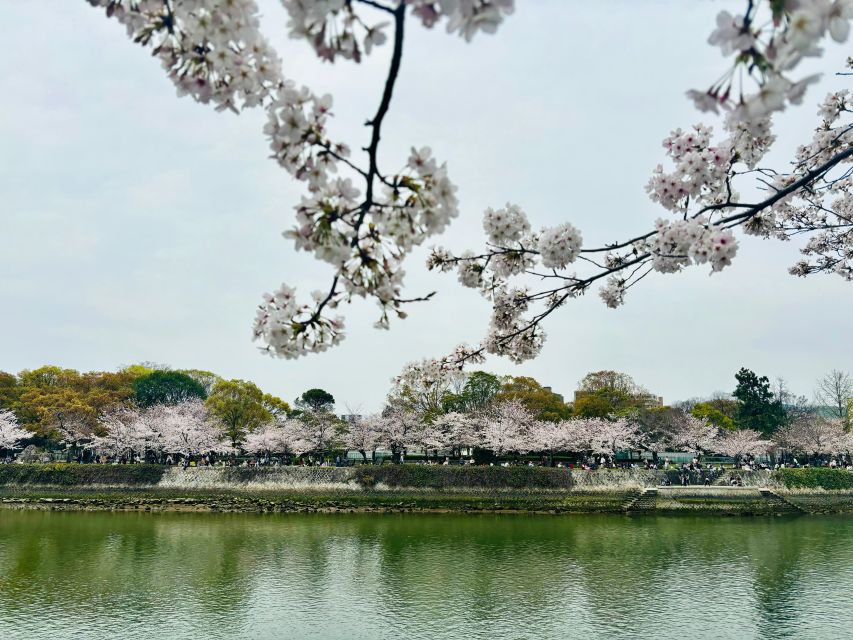 Hiroshima: History of Hiroshima Group Walking Tour - From the Gates of Peace to Mother and Baby in the Storm