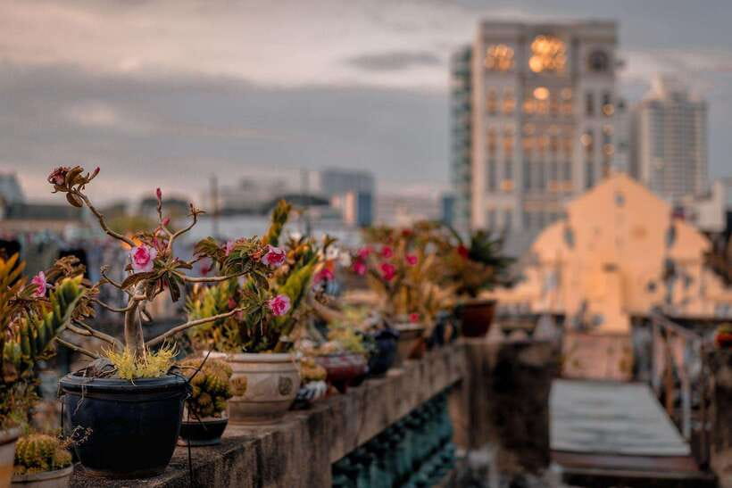 Ho Chi Minh City: Highlights & Hidden Gems Walking Tour - Pace, weather, transport, and accessibility