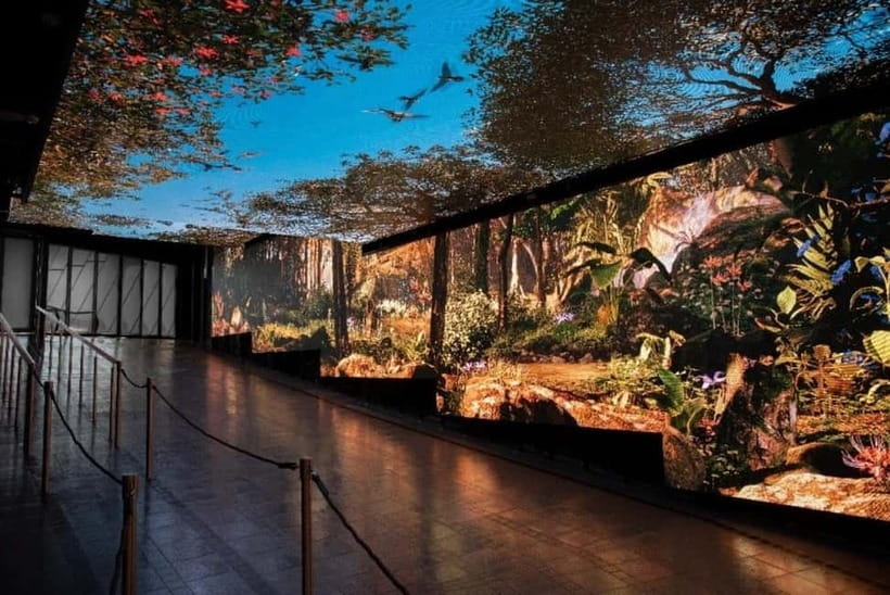 Hong Kong Day Tour: Priority Peak Tram, City Walk & Dim Sum - The jewelry stop is the main annoyance