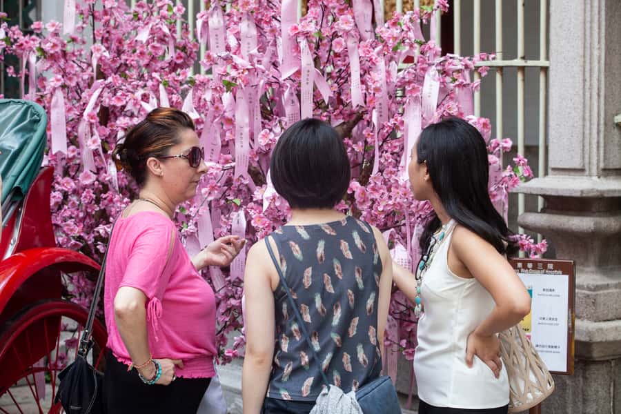 Hong Kong: Private Walking City Tour with a Local Guide - Markets, temples, and the everyday city