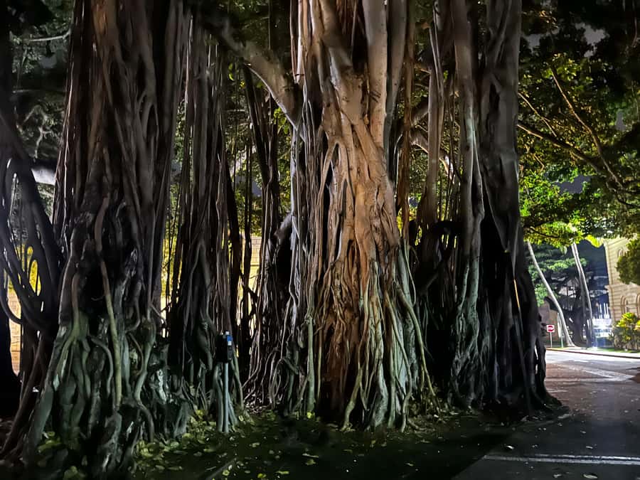 Honolulu Haunts: Ghosts and Spirits Walking Tour - The clash of cultures beneath the postcard view