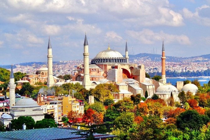 Istanbul Highlights Small-Group Walking Guided Tour - Hagia Sophia: a major sight with an optional cost