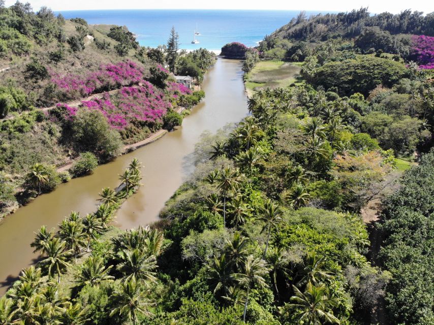 Kauai: Allerton Garden Guided Group Walking Tour - Key points at a glance