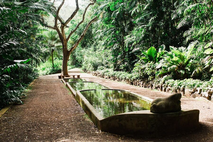 Kauai: Allerton Garden Guided Group Walking Tour - Is $63 a fair price?