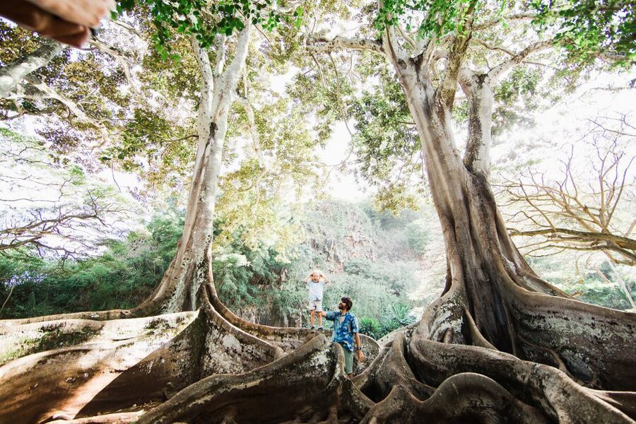 Kauai: Allerton Garden Guided Group Walking Tour - The shuttle ride sets the tone