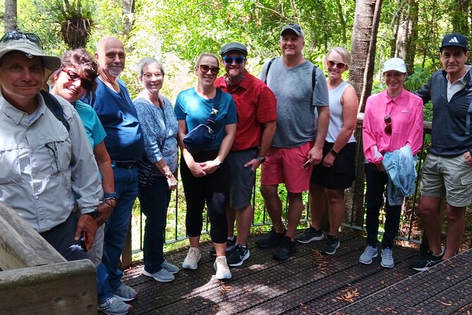Kawiti Glow Worm Cave Tour & Opua Forest Walk - Price, group size, and what you receive