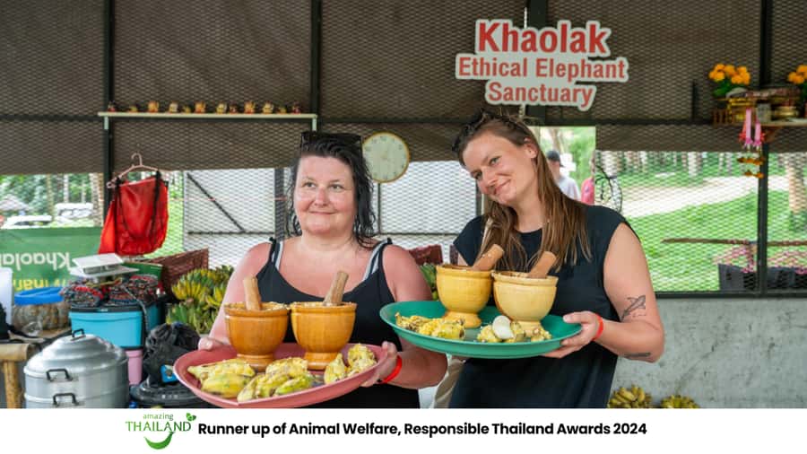 Khao Lak: 2-Hour Elephant Sanctuary Eco-Walk with Guided - Key points at a glance